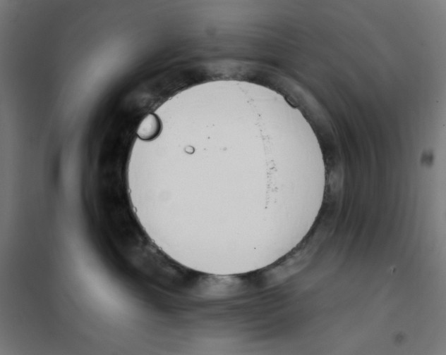 X0000101400429200808041045