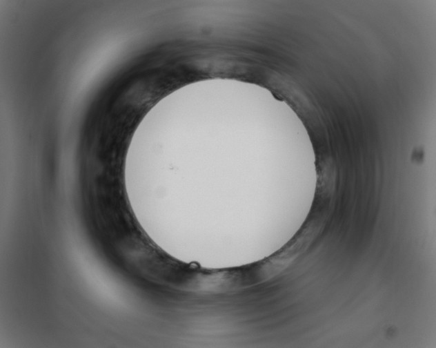 X0000101400430200808041045