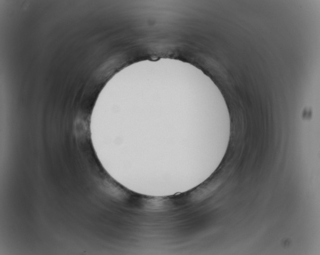 X0000101400432200808041045