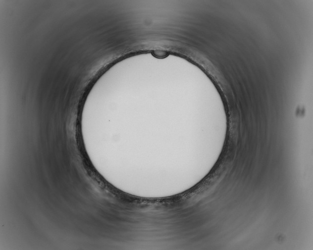 X0000101400434200808041044