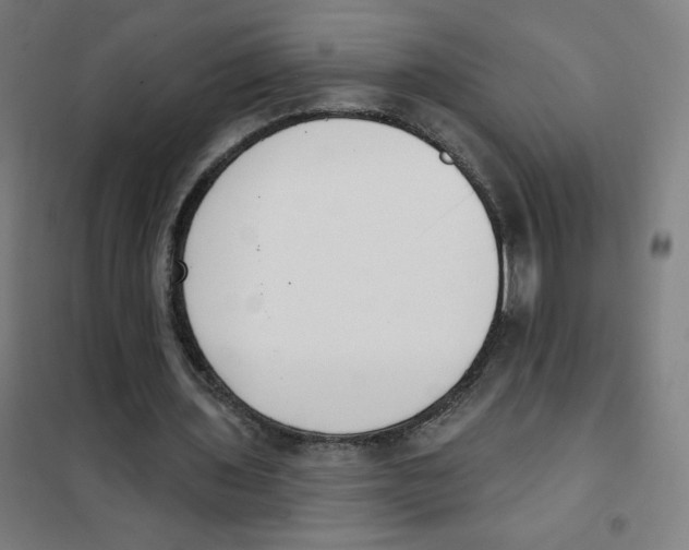 X0000101400435200808041044