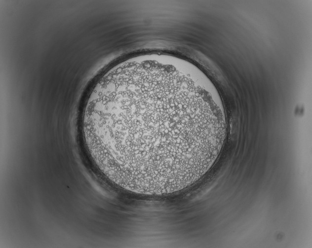 X0000101400436200808041044