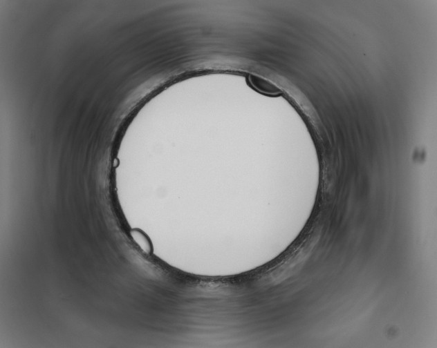 X0000101400437200808041044