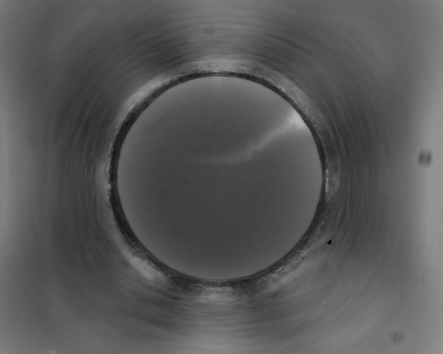 X0000101400438200808041045