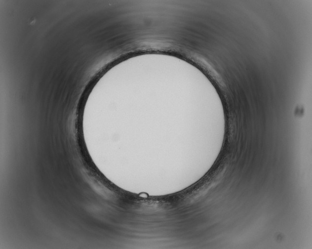 X0000101400439200808041045