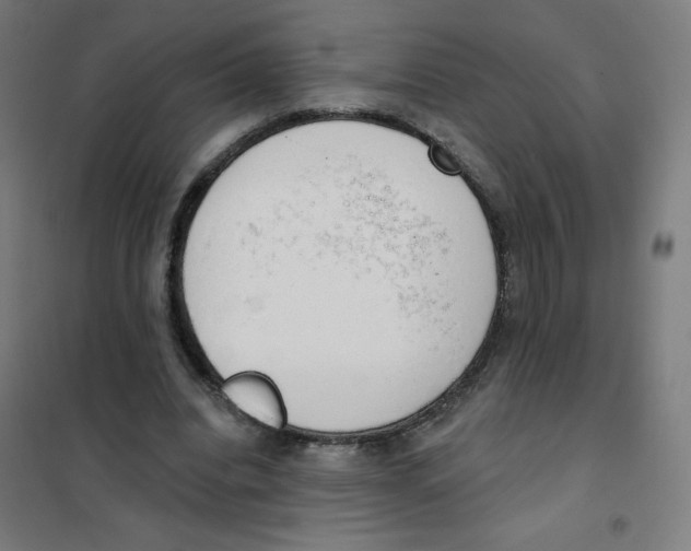 X0000101400440200808041045