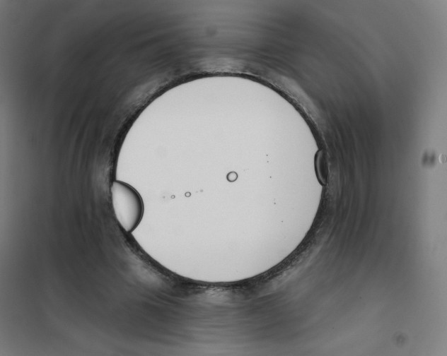 X0000101400441200808041045