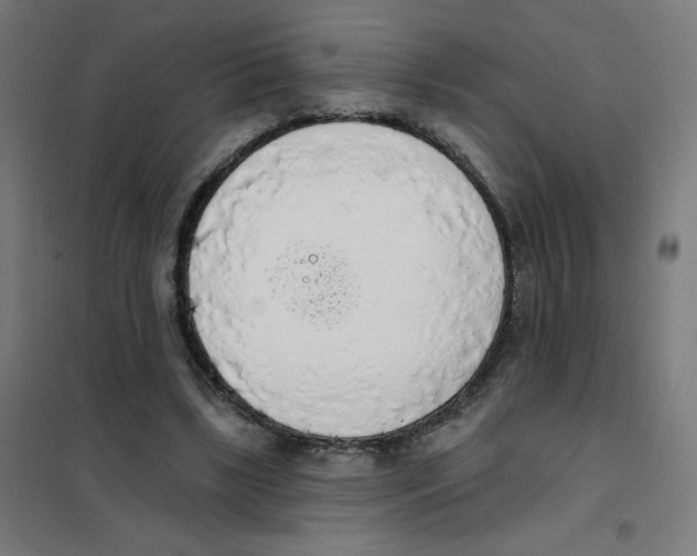 X0000101400443200808041045