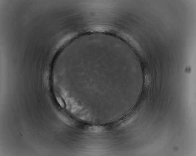 X0000101400444200808041045