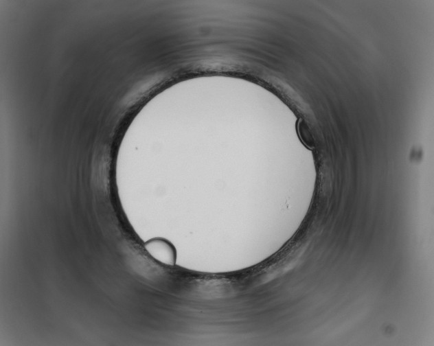 X0000101400446200808041045