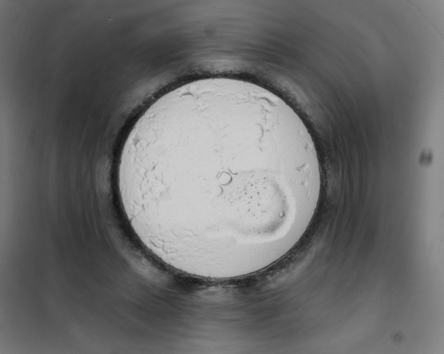 X0000101400447200808041045