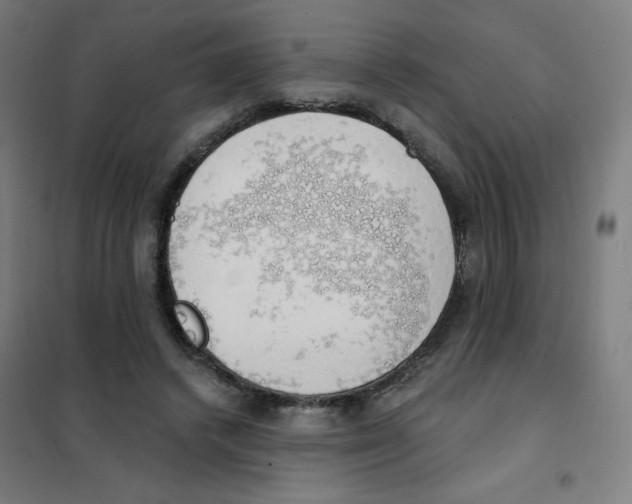 X0000101400448200808041045