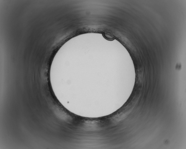 X0000101400450200808041045