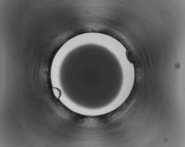 X0000101400451200808041045