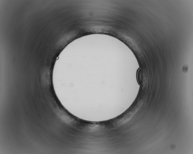 X0000101400453200808041045