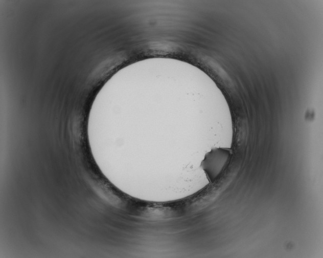 X0000101400455200808041045