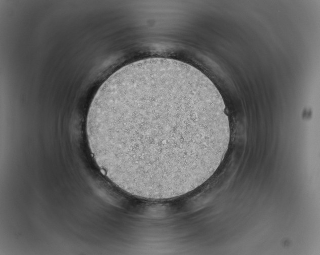 X0000101400456200808041045