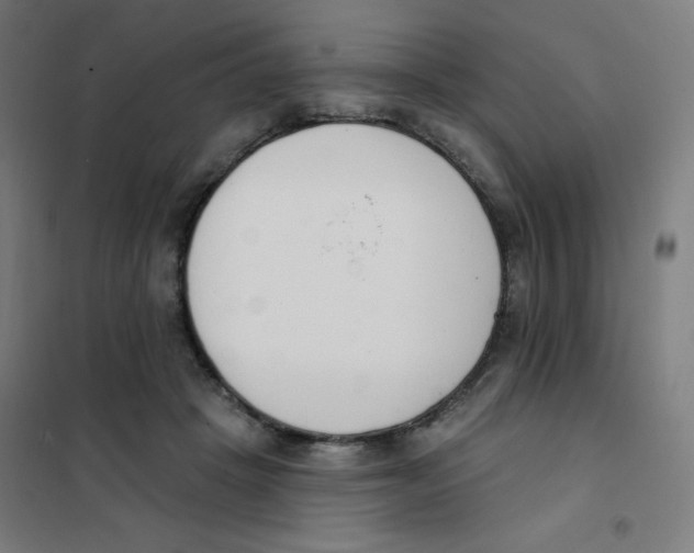 X0000101400457200808041045