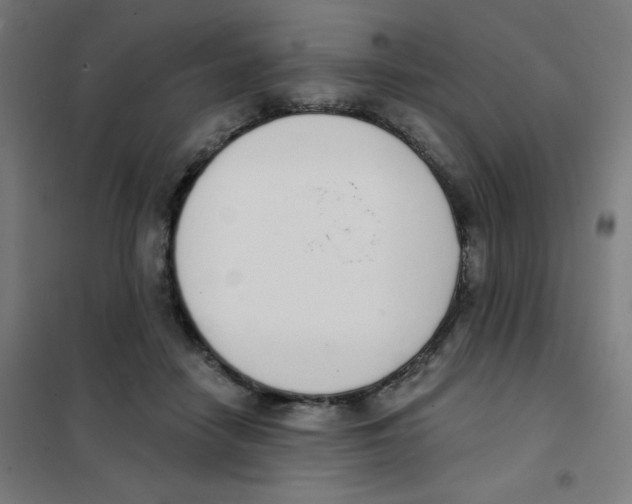 X0000101400458200808041045