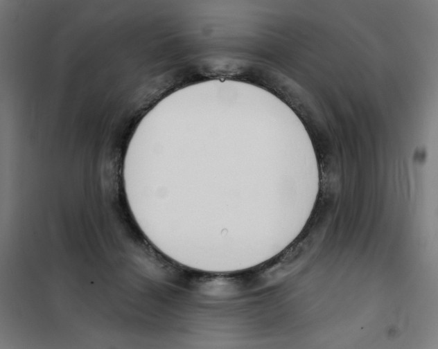 X0000101400460200808041045