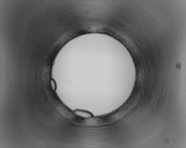 X0000101400461200808041045