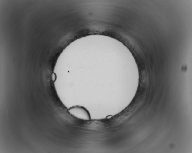 X0000101400463200808041045