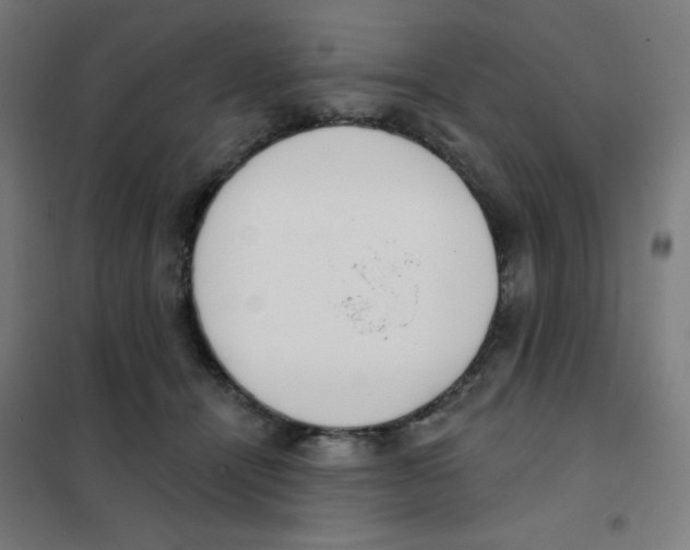 X0000101400464200808041045