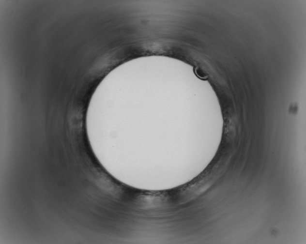 X0000101400466200808041045