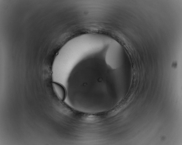 X0000101400467200808041045