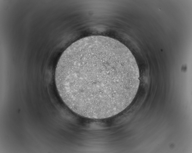 X0000101400468200808041045