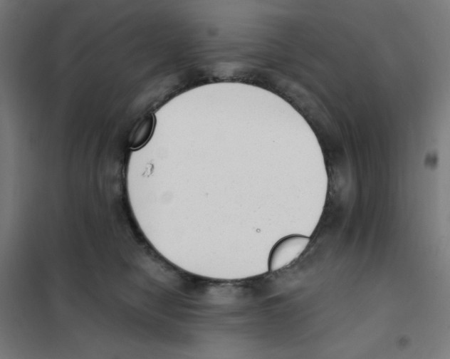 X0000101400470200808041045