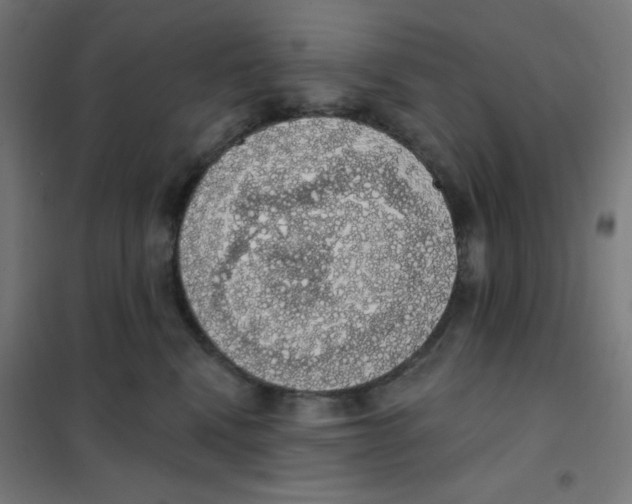 X0000101400472200808041045