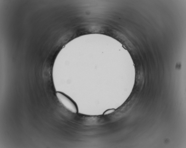 X0000101400473200808041045