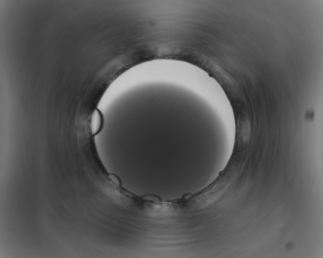 X0000101400475200808041045