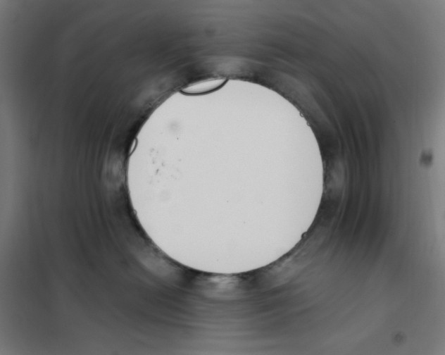 X0000101400478200808041045