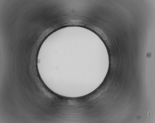 X0000101400481200808041044