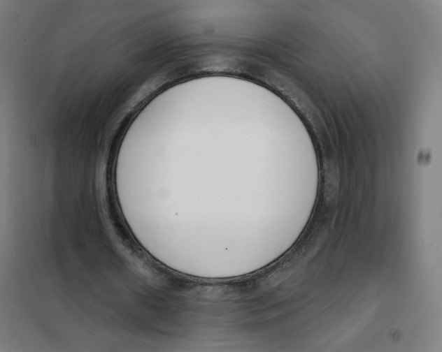 X0000101400482200808041044