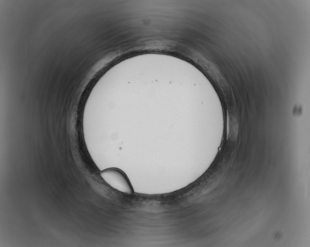 X0000101400483200808041044