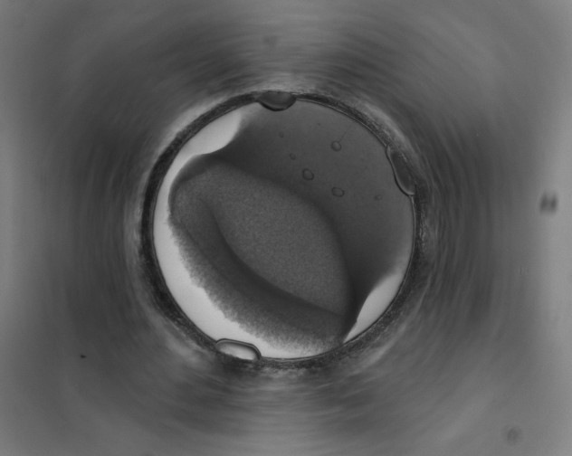 X0000101400484200808041044