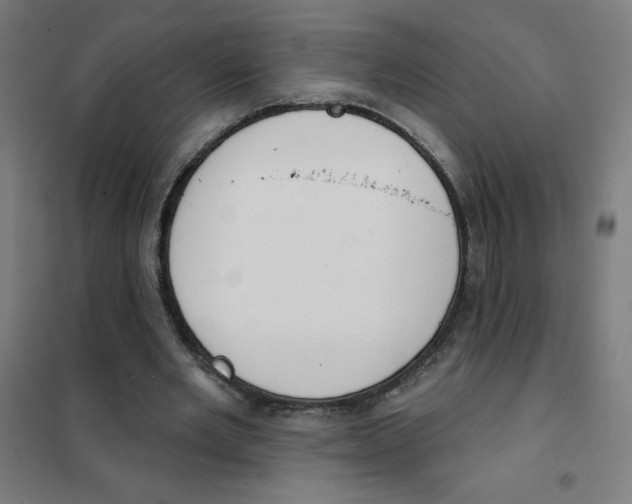 X0000101400485200808041044