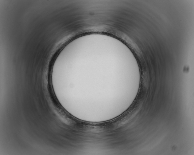 X0000101400486200808041044