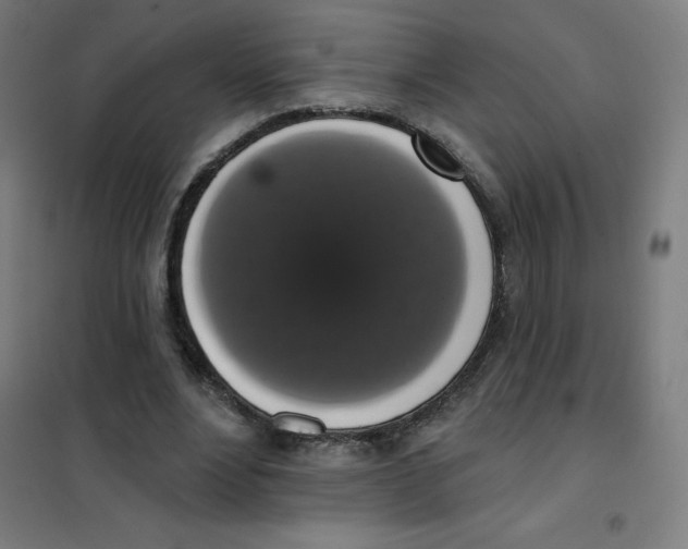 X0000101400488200808041044