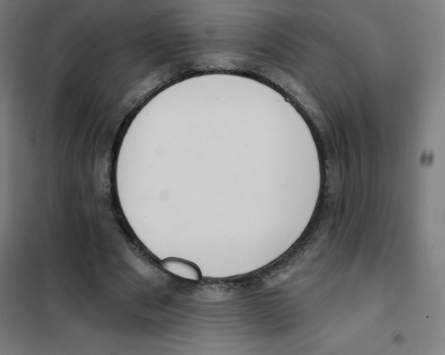 X0000101400489200808041044