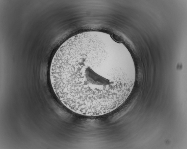 X0000101400493200808041044