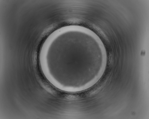 X0000101400494200808041044