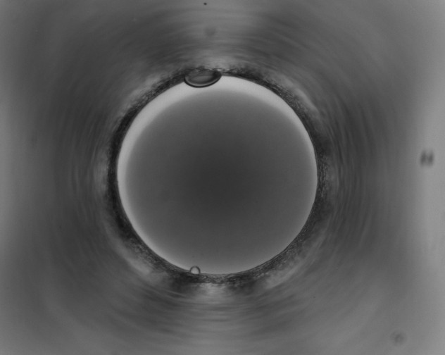 X0000101400496200808041044