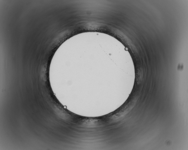 X0000101400497200808041044