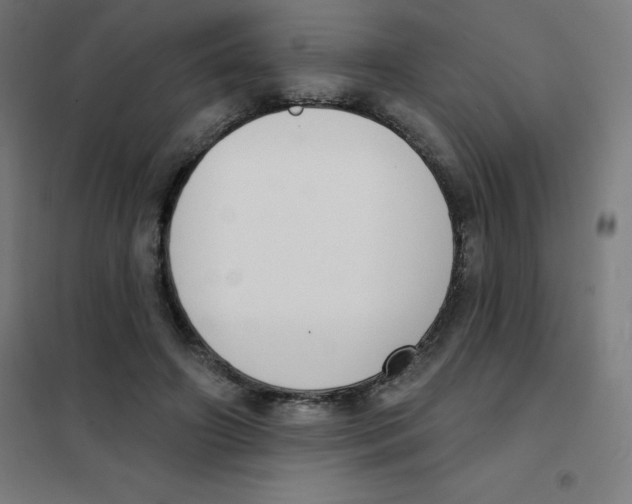 X0000101400498200808041044