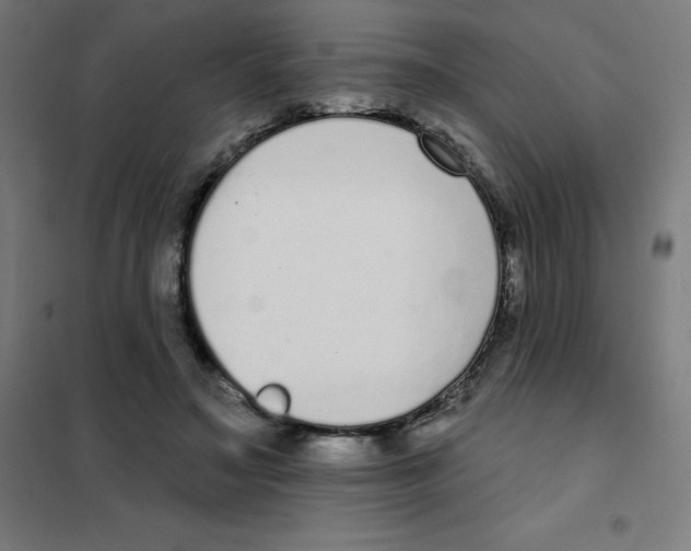 X0000101400499200808041044