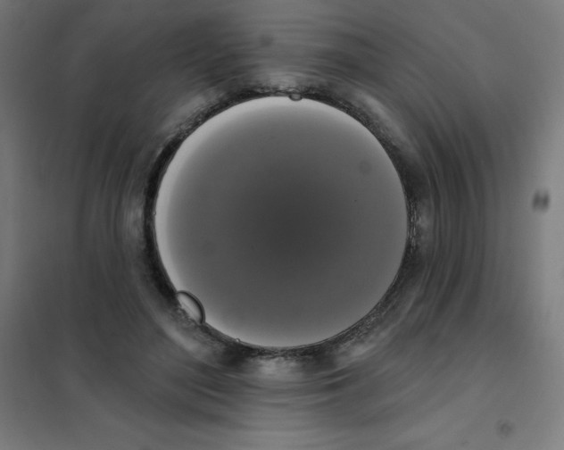 X0000101400500200808041044